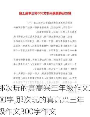 那次玩的真高兴三年级作文300字,那次玩的真高兴三年级作文300字作文