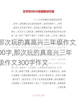 那次玩的真高兴三年级作文300字,那次玩的真高兴三年级作文300字作文