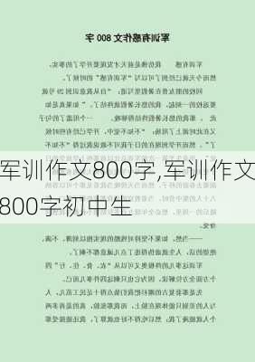 军训作文800字,军训作文800字初中生