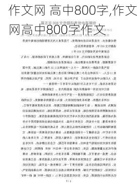 作文网 高中800字,作文网高中800字作文