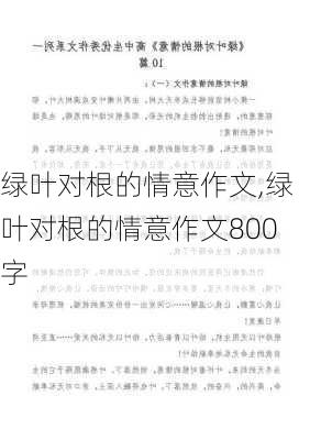 绿叶对根的情意作文,绿叶对根的情意作文800字