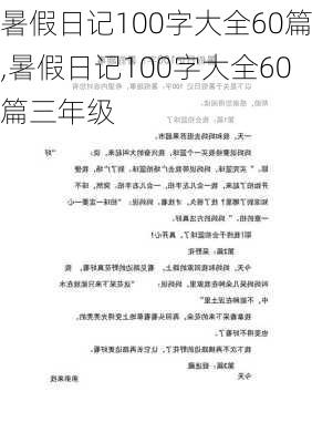 暑假日记100字大全60篇,暑假日记100字大全60篇三年级