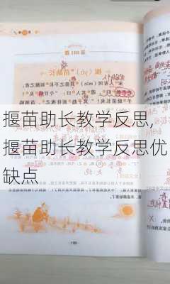 揠苗助长教学反思,揠苗助长教学反思优缺点