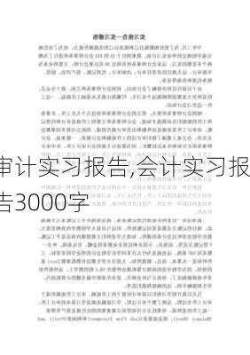 审计实习报告,会计实习报告3000字