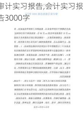 审计实习报告,会计实习报告3000字