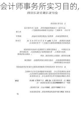 会计师事务所实习目的,