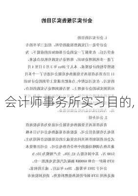 会计师事务所实习目的,