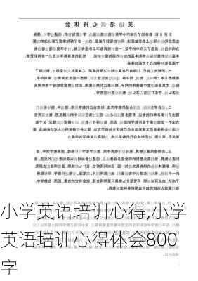 小学英语培训心得,小学英语培训心得体会800字