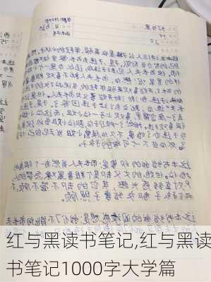 红与黑读书笔记,红与黑读书笔记1000字大学篇