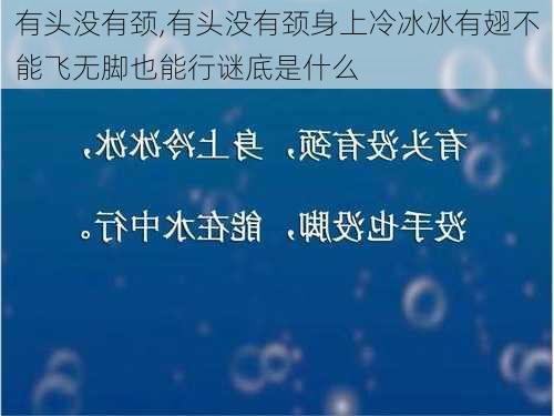 有头没有颈,有头没有颈身上冷冰冰有翅不能飞无脚也能行谜底是什么