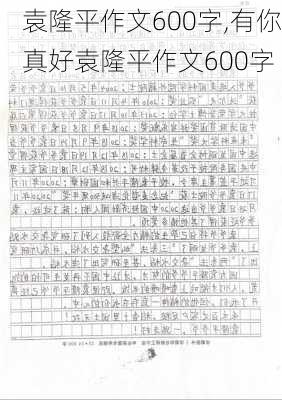 袁隆平作文600字,有你真好袁隆平作文600字