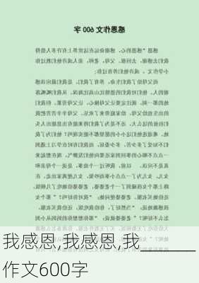 我感恩,我感恩,我______作文600字