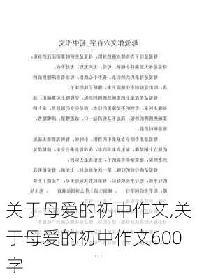 关于母爱的初中作文,关于母爱的初中作文600字