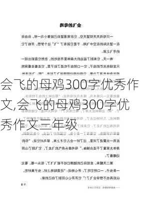 会飞的母鸡300字优秀作文,会飞的母鸡300字优秀作文三年级