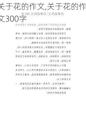 关于花的作文,关于花的作文300字