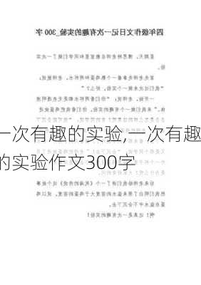 一次有趣的实验,一次有趣的实验作文300字