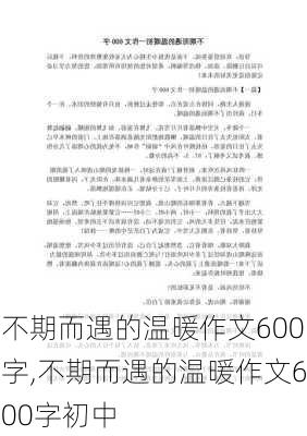 不期而遇的温暖作文600字,不期而遇的温暖作文600字初中