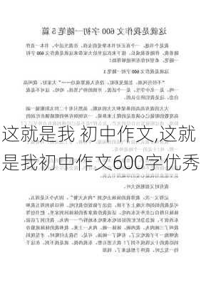 这就是我 初中作文,这就是我初中作文600字优秀