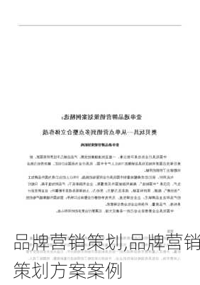 品牌营销策划,品牌营销策划方案案例