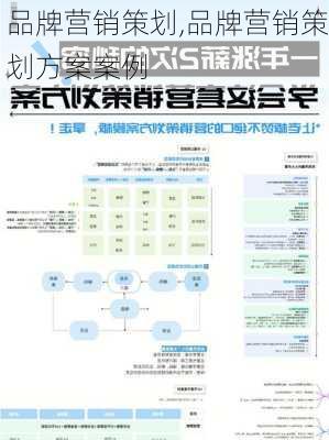 品牌营销策划,品牌营销策划方案案例