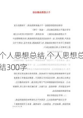 个人思想总结,个人思想总结300字