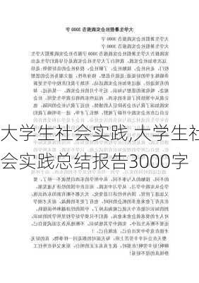 大学生社会实践,大学生社会实践总结报告3000字