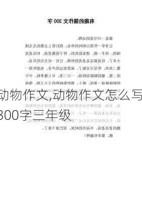 动物作文,动物作文怎么写300字三年级