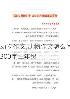 动物作文,动物作文怎么写300字三年级