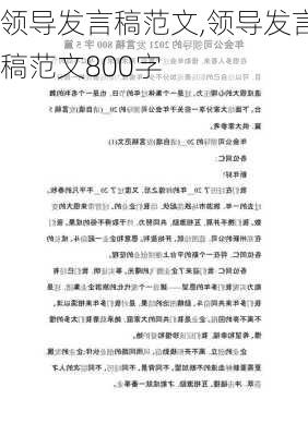 领导发言稿范文,领导发言稿范文800字