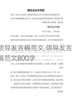 领导发言稿范文,领导发言稿范文800字