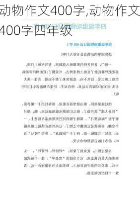 动物作文400字,动物作文400字四年级