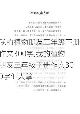 我的植物朋友三年级下册作文300字,我的植物朋友三年级下册作文300字仙人掌