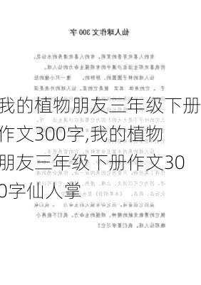 我的植物朋友三年级下册作文300字,我的植物朋友三年级下册作文300字仙人掌