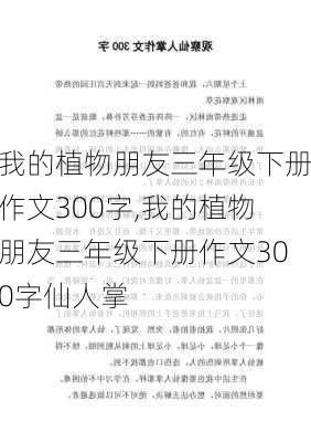 我的植物朋友三年级下册作文300字,我的植物朋友三年级下册作文300字仙人掌