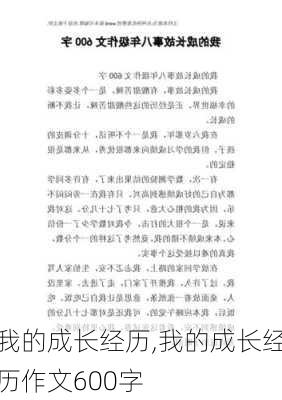 我的成长经历,我的成长经历作文600字