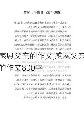 感恩父亲的作文,感恩父亲的作文800字