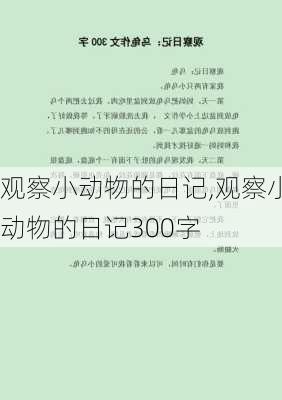 观察小动物的日记,观察小动物的日记300字