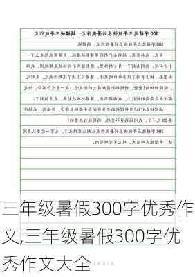 三年级暑假300字优秀作文,三年级暑假300字优秀作文大全