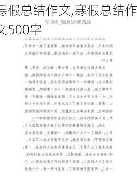 寒假总结作文,寒假总结作文500字