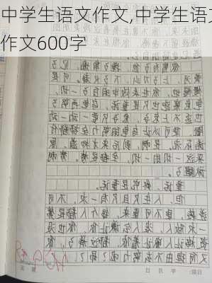 中学生语文作文,中学生语文作文600字