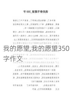 我的愿望,我的愿望350字作文