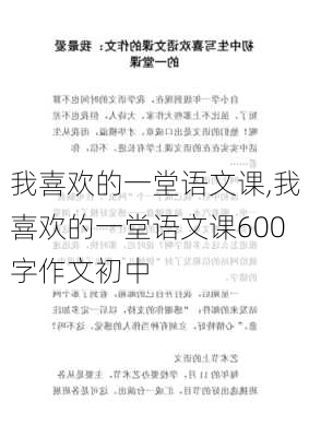 我喜欢的一堂语文课,我喜欢的一堂语文课600字作文初中