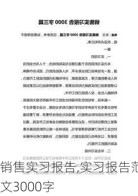 销售实习报告,实习报告范文3000字