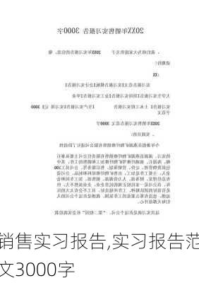 销售实习报告,实习报告范文3000字