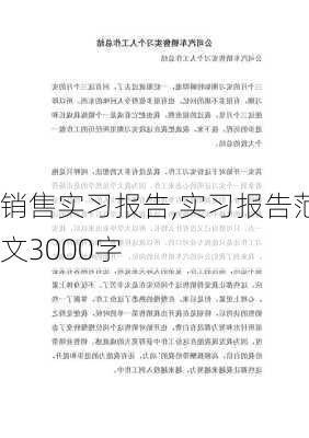 销售实习报告,实习报告范文3000字