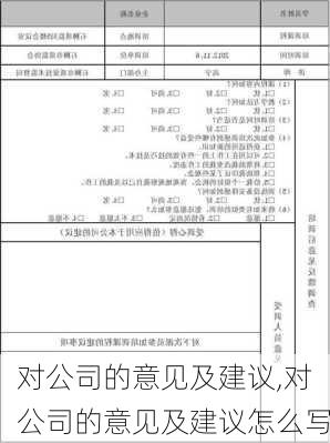 对公司的意见及建议,对公司的意见及建议怎么写