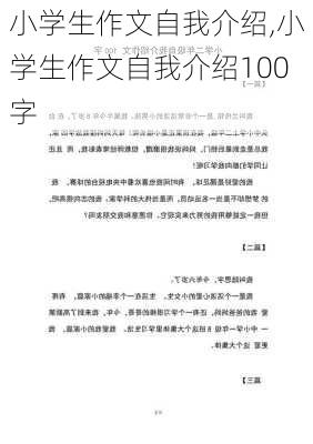 小学生作文自我介绍,小学生作文自我介绍100字