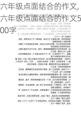 六年级点面结合的作文,六年级点面结合的作文500字