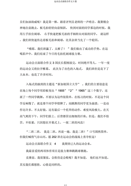 六年级点面结合的作文,六年级点面结合的作文500字