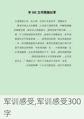 军训感受,军训感受300字